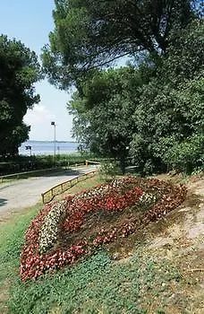 Tize Village Rosapineta